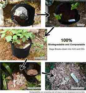 ถุงเก็บอุจจาระสุนัขย่อยสลายได้ 100% เป็นมิตรกับสิ่งแวดล้อม ทำจากแป้งข้าวโพด สำหรับผู้จำหน่ายสินค้าสัตว์เลี้ยง - Product Image 3