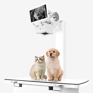 獣医DRマシン高品質イメージング効果獣医用X線DRマシン犬猫用