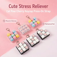 HMJ Paw Clicker Press Fidget Toy Keychain Keyboard with Light/No Light Silicone Sensory Stress Relief Finger Tactile for Adult