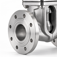Vanne à opercule manuelle industrielle LUOKEFM Z45W-10P en acier inoxydable CF8 à tige montante, siège métallique, PN10, pour eau douce
