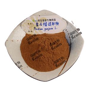 天然グアバ果実エキス粉末10:1 20:1 30:1 Psidium Guajavaエキス - Product Image 3