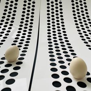 Trang trại nông nghiệp PP gia cầm băng tải Đai băng tải Polypropylen cho hệ thống loại bỏ Phân Gà vành đai trứng 7 - Product Image 6