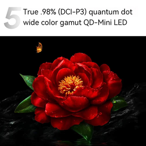 <span class=keywords><strong>TV</strong></span> da Gioco Ultra Sottile TCL 98Q10L Pro Rc 2025 da 98 Pollici QD-Mini LED 4K 288Hz XDR 7000nits, <span class=keywords><strong>TV</strong></span> LCD di Quarta Generazione - Product Image 6