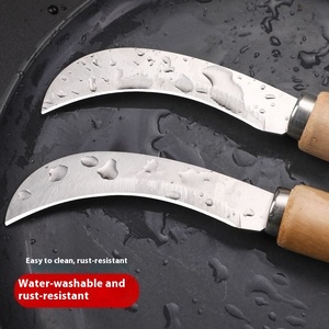 Cortador de cuchillo de fruta de acero inoxidable afilado para sandía, mango, Jaca, piña, operación Manual, plástico PP, para fruterías - Product Image 4