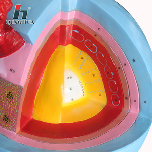 Modèle solaire Qinghua QH3497 : Structure interne du Soleil, un instrument pour l'éducation à l'astronomie et à la géographie chez les jeunes et les plus âgés. - Product Image 2