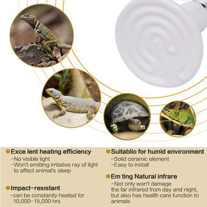 Großhandel Eidechsen Heiz lampe 25w/40w/60w/100w/150w Keramik Wärme strahler Reptilien Wärme lampe Birne für Reptilien - Product Image 3