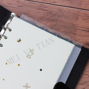 Plaques de séparation 3d en PP 6-Tab, solides et personnalisés, bricolage de trous pour feuilles, lieur, planificateur, organisateur de Filofax, dorure - Product Image 3