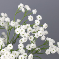 PU Bunga Buatan untuk Bayi Baby Breath Putih Dekorasi Rumah Pernikahan Karangan Bunga DIY Gypsophila Plastik
