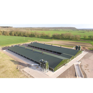 Poulailler de ferme à cadre en acier haute résistance avec système de litière profonde conçu pour les fermes de poulets de viande jusqu'à 10,000 oiseaux - Product Image 5