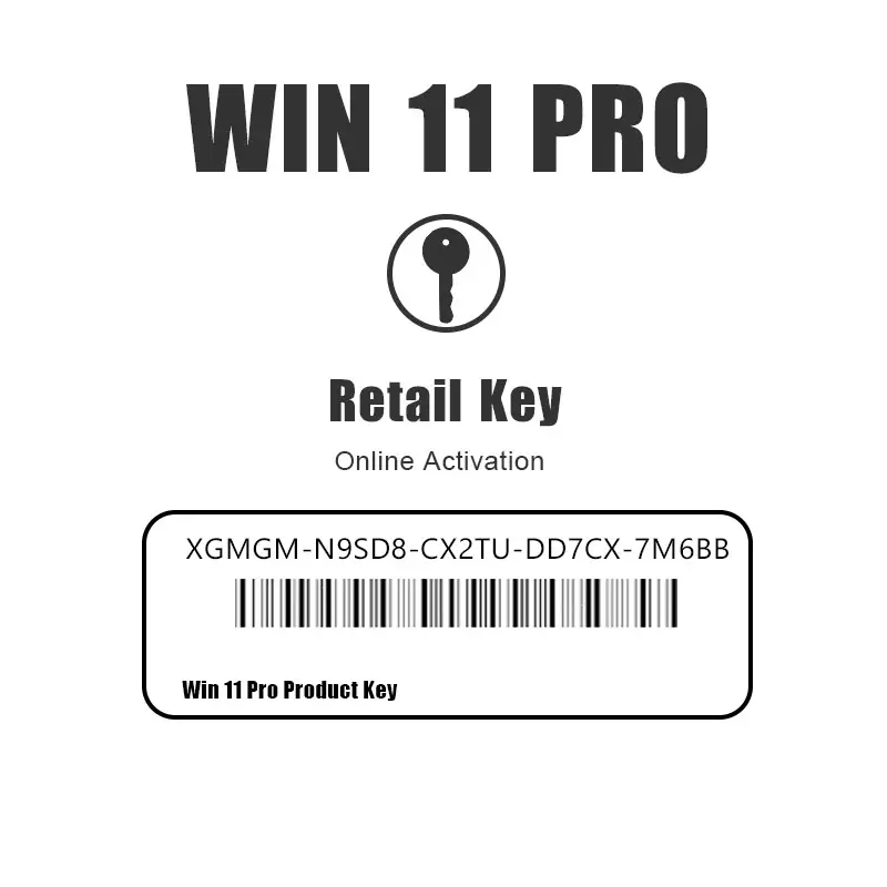 Genuine win 11 pro oem License Key 100% Online Activation Sliver Label For Windows 11 Pro Key Sticker Hot Sale 12Months Warranty