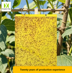 فخ حشرات طائر عالي الوضوح بستان ، أصفر لسهولة اكتشاف الآفات - Product Image 5