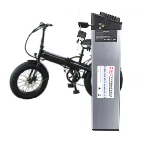 Ryder electric XP e bike sostituzione batteria pieghevole 48V batterie agli ioni di litio batteria per bicicletta elettrica