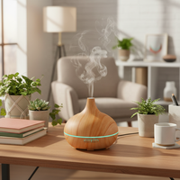 Diffuseur d'huiles essentielles pour la maison et l'hôtel, alimenté par USB, humidificateur d'aromathérapie 300 ml, brume froide silencieuse, chambre/salon