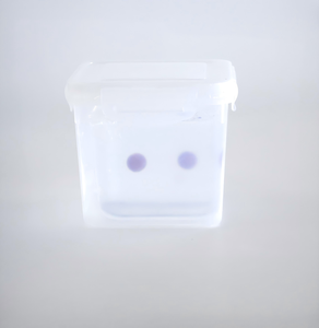 Fantom de entrenamiento de hidrogel de modo dual sensible a la temperatura y con cambio de color para simulación médica de punción y ablación - Product Image 5