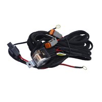 Harness kabel otomotif kustom 2 3 4 6 8 12 Pin Harness kabel konektor Deutsch elektrik tahan air