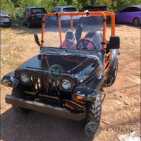 Caiteng Quad 4x4 UTV 300cc, mini jeep haute vitesse, transmission automatique essence, garantie 2 ans, buggy des dunes pour adultes