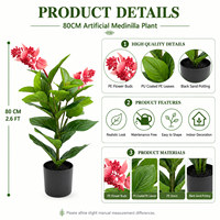 Tanaman Bunga Medinilla Magnifica Buatan yang Sangat Realistis dalam Pot, Tahan UV/Api, Langsung dari Pabrik, Dekorasi Rumah dan Kantor