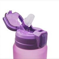 Botella de Agua de Tritán de 550 ml con Logotipo Personalizado 2023, Libre de BPA, con Tapa Abatible, Botellas de Plástico para Beber Directamente, Promoción de 750 ml