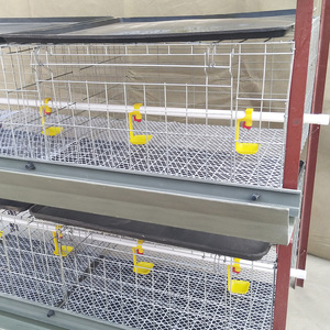 Punto automatizzato di H tipo piccola gabbia di pollo galvanizzata importato per 35000 uccelli pollo per la fattoria - Product Image 2