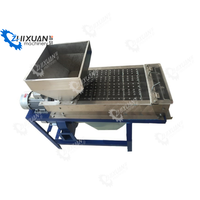 Éplucheur électrique à sec pour amandes et cacahuètes à peau rouge, en acier inoxydable SS304, tension 110V/220V/380V