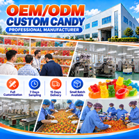 Bonbons Gélifiés Personnalisés en Gros pour Enfants, Forme Renard, Goût Acidulé, Bonbons Gélifiés aux Fruits, Vente en Gros, Fabricant et Fournisseur Certifié Halal