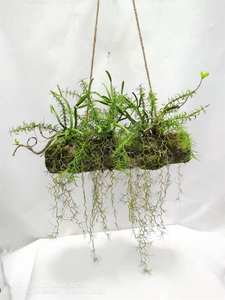 EG-A139 artificielle plante verte fougère herbe décorations suspendues de haute qualité dans l'air décoration de <span class=keywords><strong>la</strong></span> maison série forestière - Product Image 5