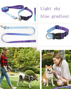 Collier et Laisse pour chien, accessoire de luxe par sublimation, vente en gros, 5 pièces - Product Image 4
