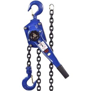 VA <span class=keywords><strong>LEVER</strong></span> hoist Trung Quốc 15 năm nhà máy G80 chuỗi an toàn của nhãn hiệu xách tay tùy chỉnh 1ton 3ton 5ton 10 tấn chuỗi khối hoist - Product Image 6