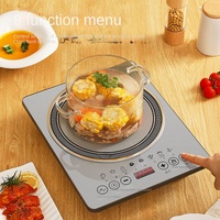 Cuisinière à induction haute puissance en gros, écran tactile, 110 V, chaudière anti-incendie, cuisinière à induction multifonctionnelle pour la maison