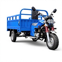 Tricycle à essence grande capacité 150cc pour le transport de marchandises, moto-tricycle motorisé à forte charge, vente en gros