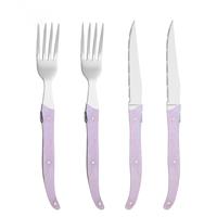 Couteau à steak dentelé de 4 pouces avec lame en acier inoxydable et manche en résine rose Matériau métallique