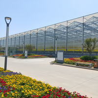 Grote, multi-span landbouwkas met pc-platen/glazen overkapping voor de teelt van groenten, bloemen en fruit