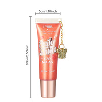 OEM Kustomisasi 2025 Baru 6 Warna Lipgloss Cair Tahan Lama 10 ml 0.33 oz Set Tabung Lunak Liontin Perhiasan Grosir Partai Besar