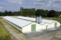 Conception moderne de poulailler/poulailler pour poulets de chair Ferme avicole automatique comprenant des équipements d'élevage de volailles