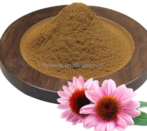 Sıcak satış doğal ekinezya <span class=keywords><strong>Purpurea</strong></span> özü fabrika doğrudan toplu gıda katkısı - Product Image 4