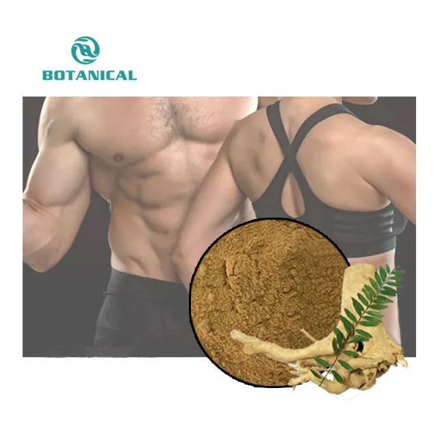 B.C.I Factory Supplier Wholesale Eurycoma Longifolia Extract Tongkat Ali Extract powder Tongkat Ali Root Extract Powder 200:1