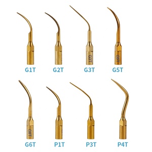1 pièce Embouts de détartreur piézoélectriques ultrasoniques dorés G1T G2T G3T G5T G6T P1T P3T <span class=keywords><strong>P4T</strong></span> compatibles avec le détartreur à main EMS Woodpecker - Product Image 1