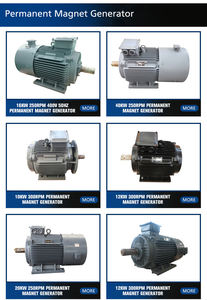 Machine à mouvement perpétuel Enneng génération d'électricité pmg générateur à <span class=keywords><strong>aimant</strong></span> <span class=keywords><strong>permanent</strong></span> - Product Image 5