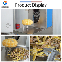 Elektrische platte pompoenschilmachine, industriële groenteschilmachine voor fruitverwerkingsbedrijven