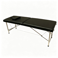 Table de massage portable professionnelle à 2 sections, pliable, avec pieds en acier inoxydable, lit de spa