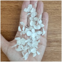 Pétales d'hortensia multicolores naturels biodégradables pour confettis de mariage et créations d'art en résine DIY, pétales d'hibiscus