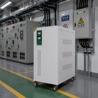 Stabilisateur de tension à servomoteur triphasé CE ISO Certification LVU Standard SVC TNS 100KVA 380V pour générateur