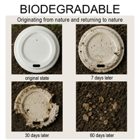 Plateau alimentaire jetable en pulpe de bagasse de canne à sucre, compostable et biodégradable, à 5 compartiments, pour la restauration