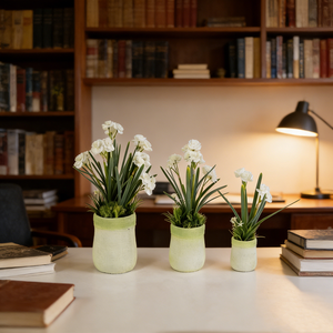 Flor Artificial de <span class=keywords><strong>Narciso</strong></span> en Maceta, Planta Artificial Realista en Maceta de PVC Color Pastel para Decoración del Hogar, Sala de Estar, Regalo de Primavera - Product Image 3