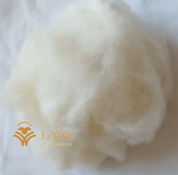 High Quality Washed and Carded Sheep Wool Fiber With Natural White Color Yarn Spinning Wool Fiber