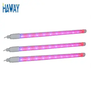 Professional T8 grow tube light 18W 1.2m 3R:1B// 3B:1W LED Light Bar for spring onions and other vegetable
