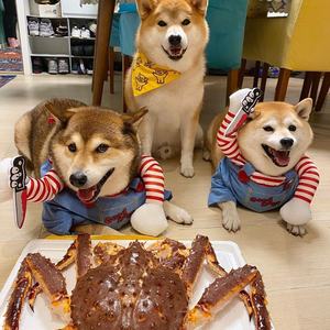 Productos de Atuendos Personalizados 2025 Lindo Disfraz de Halloween de Chucky para Mascotas Perro y Gato - Product Image 3