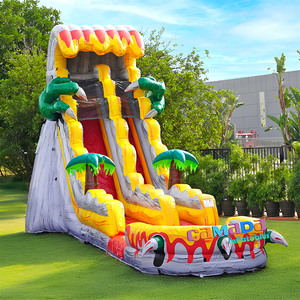 ¡Gran Oferta! Nuevo Castillo Hinchable Comercial para Niños y Adultos, Tobogán Acuático Combinado de PVC para Uso Doméstico - Product Image 2