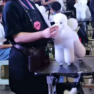 Tóc Mô Hình Con Chó Cho Pet Trường Hiển Thị Chải Chuốt Thực Hành Đồ Chơi Poodle Mannequin Đầy Đủ Cơ Thể Con Chó Mô Hình Giáo Dục Dog Mannequin