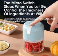 Fv09 Gratis Handheld 250Ml Cup Keuken Knoflook Vlees Plantaardige Batterij Aangedreven Usb Draadloze Mini Elektrische Voedsel Chopper